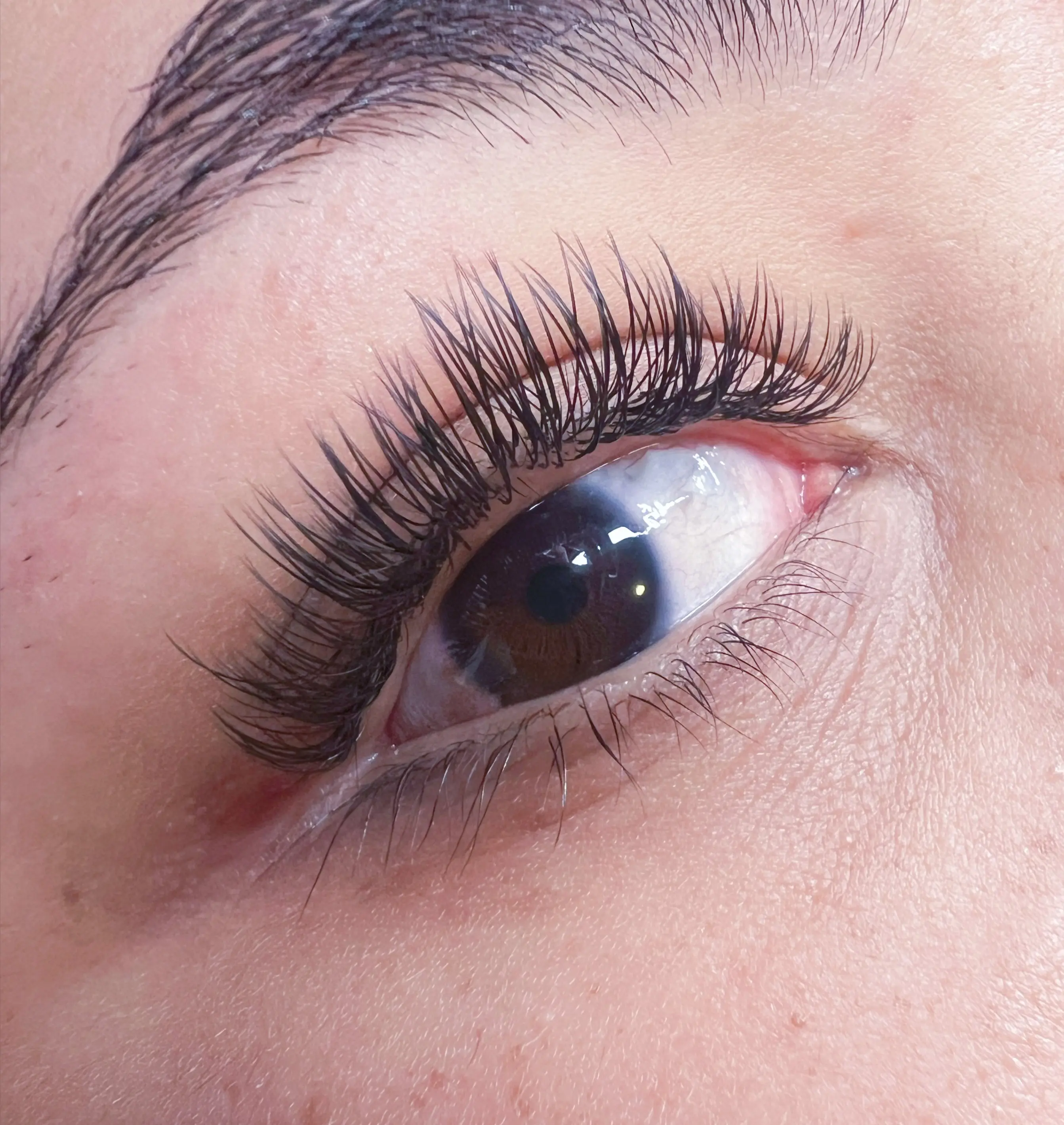 Extensiones Clásicas