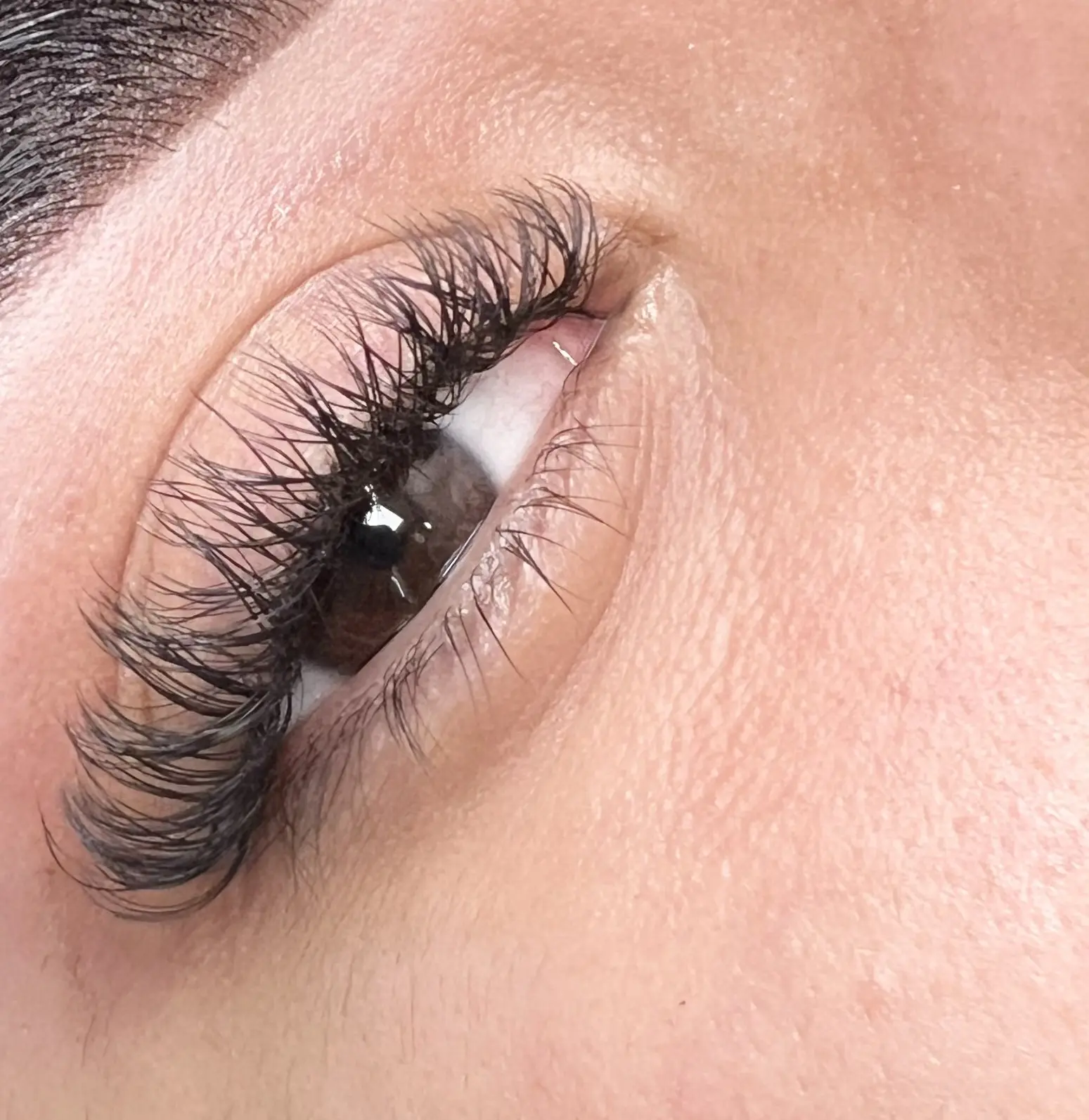 Tecnológicas Soft 2Y