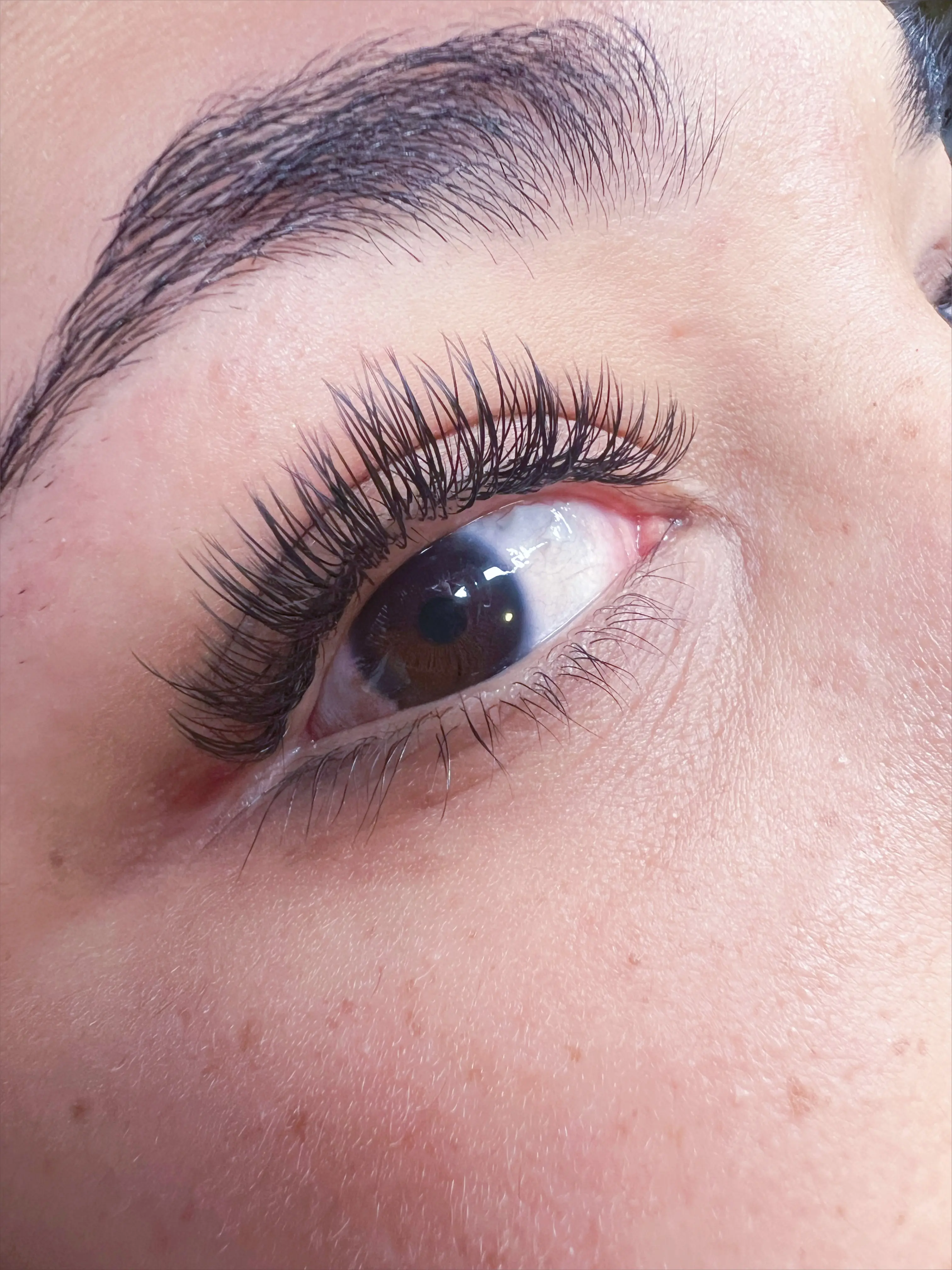 Extensiones Clásicas